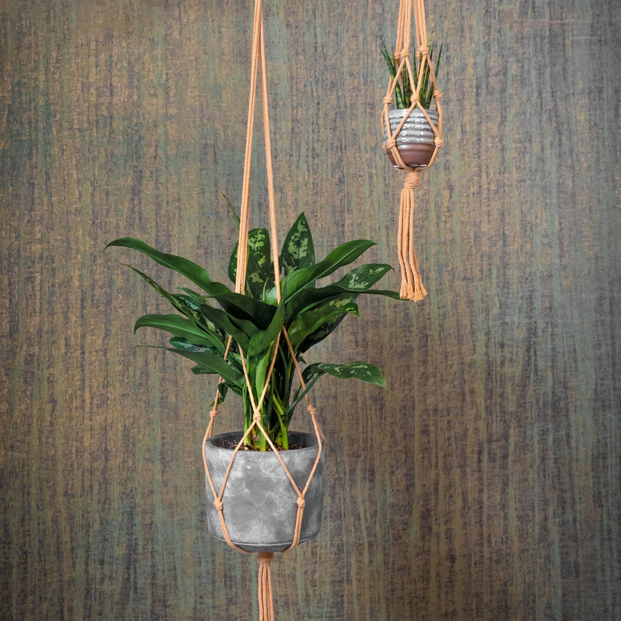 TS suspension pour pot de fleur Macramé crème 120 cm - Image 2