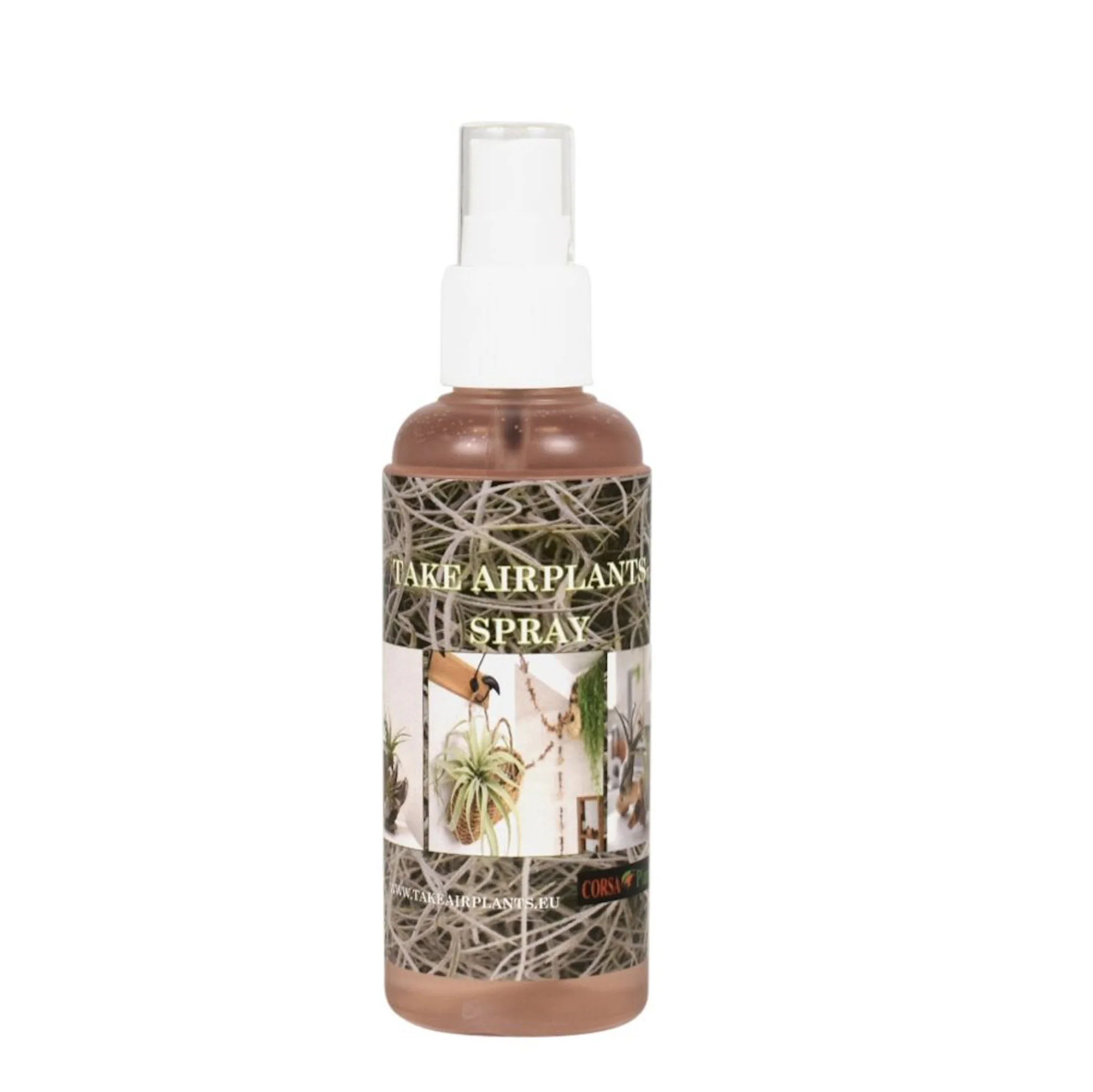 Vaporisateur pour Tillandsia